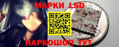 spice Кунгур