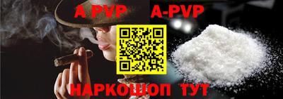 spice Кунгур