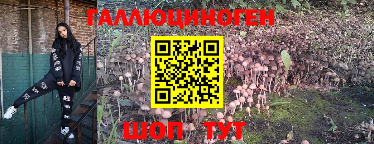 Псилоцибиновые грибы мухоморы  Галлюциногенные грибы GOLDEN TEACHER  Элиста  Вход с VPN 
